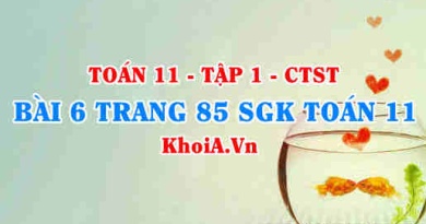 Bài 6 trang 85 SGK Toán 11 Tập 1 Chân trời sáng tạo